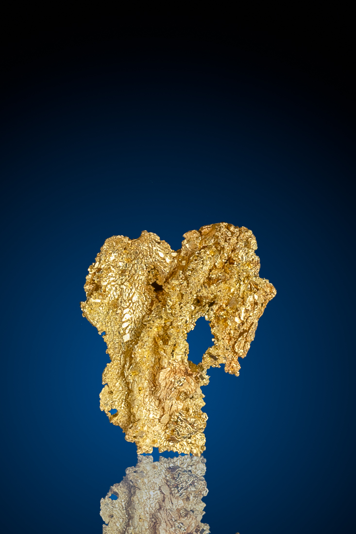 (image for) Rare and Brilliant Crystallized Gold from Breckenridge, CO - 0.93 grams